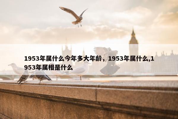 1953年属什么今年多大年龄，1953年属什么,1953年属相是什么