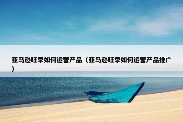亚马逊旺季如何运营产品（亚马逊旺季如何运营产品推广）