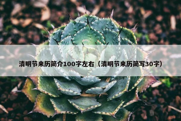 清明节来历简介100字左右（清明节来历简写30字）