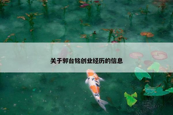 关于郭台铭创业经历的信息