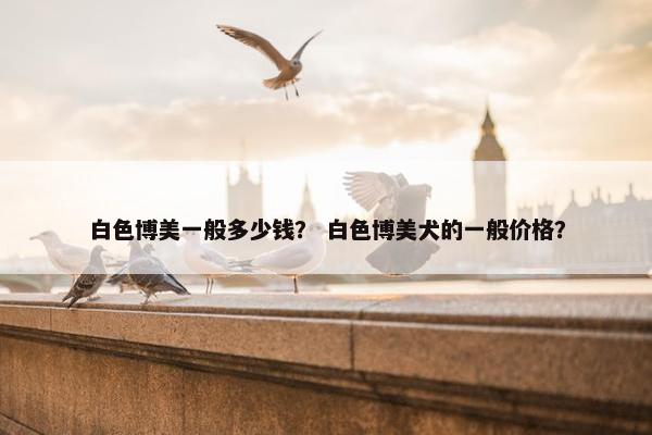 白色博美一般多少钱？ 白色博美犬的一般价格？