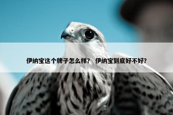 伊纳宝这个牌子怎么样？ 伊纳宝到底好不好？