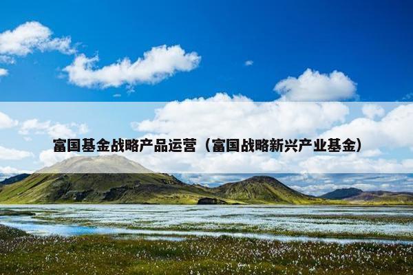 富国基金战略产品运营（富国战略新兴产业基金）