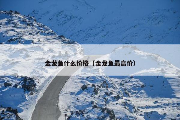 金龙鱼什么价格（金龙鱼最高价）