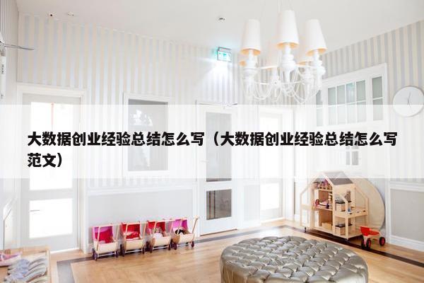 大数据创业经验总结怎么写（大数据创业经验总结怎么写范文）