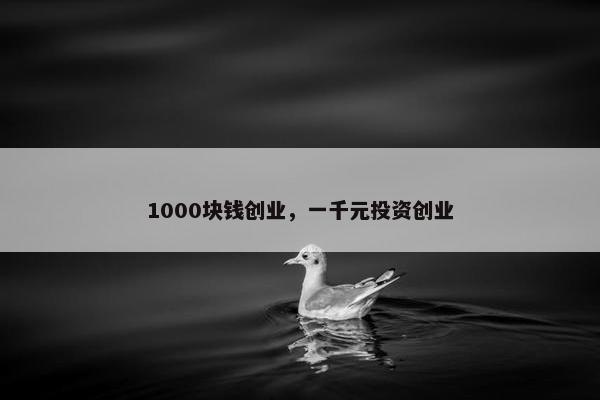 1000块钱创业，一千元投资创业
