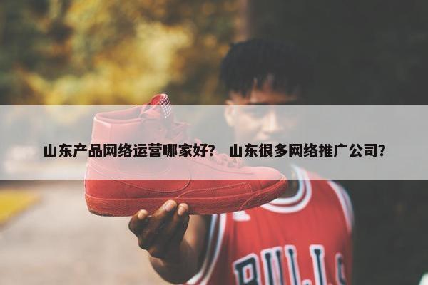 山东产品网络运营哪家好？ 山东很多网络推广公司？