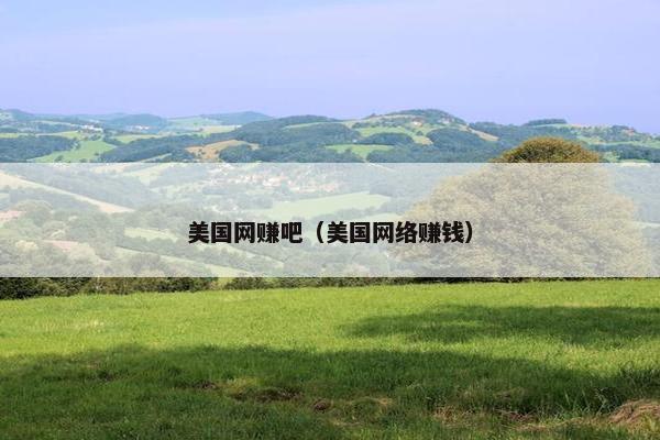 美国网赚吧（美国网络赚钱）