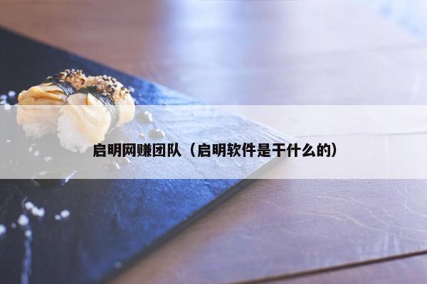 启明网赚团队（启明软件是干什么的）