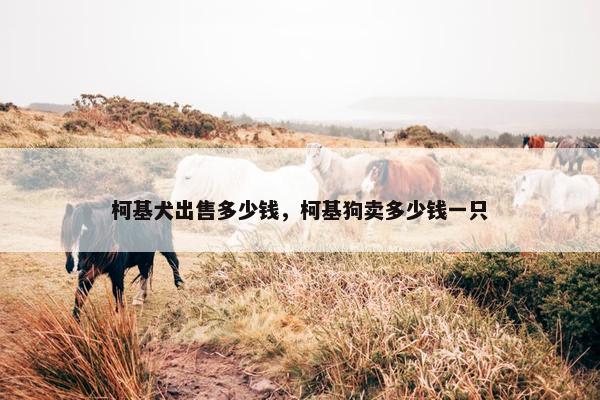 柯基犬出售多少钱，柯基狗卖多少钱一只