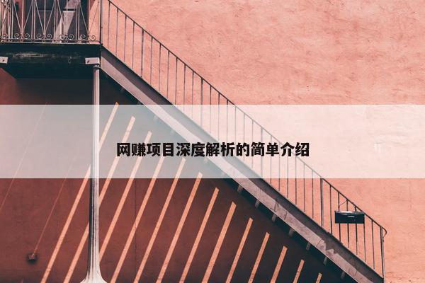 网赚项目深度解析的简单介绍