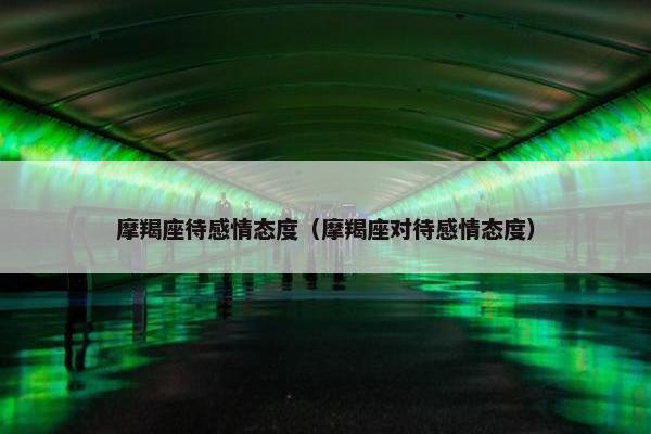 摩羯座待感情态度（摩羯座对待感情态度）