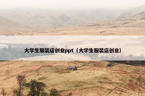 大学生服装店创业ppt（大学生服装店创业）