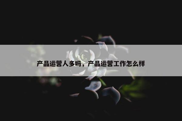产品运营人多吗,产品运营工作怎么样