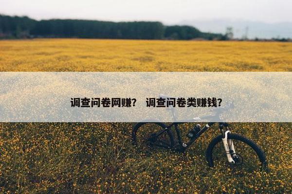 调查问卷网赚？ 调查问卷类赚钱？