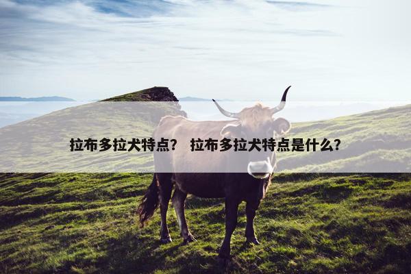 拉布多拉犬特点？ 拉布多拉犬特点是什么？