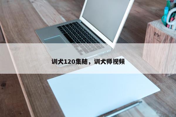 训犬120集随，训犬师视频