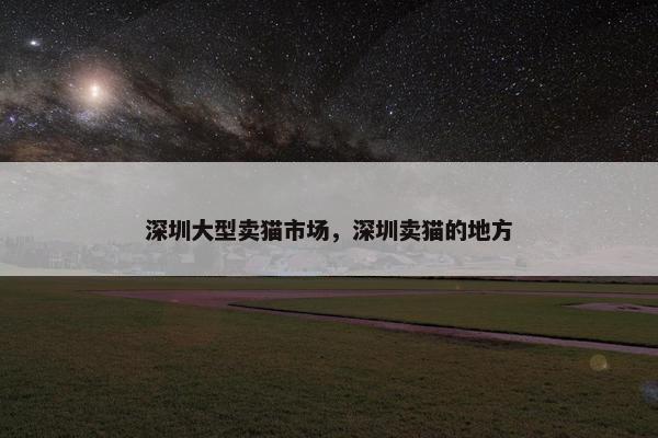 深圳大型卖猫市场，深圳卖猫的地方