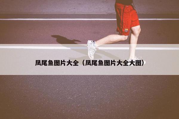 凤尾鱼图片大全（凤尾鱼图片大全大图）