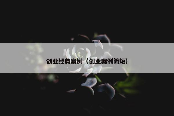 创业经典案例（创业案例简短）