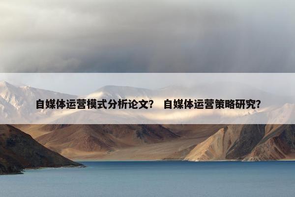 自媒体运营模式分析论文？ 自媒体运营策略研究？