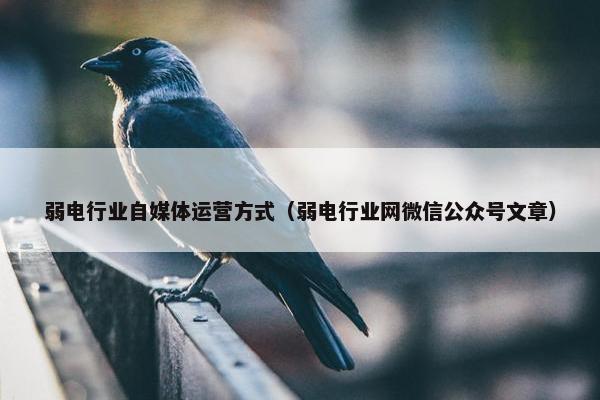 弱电行业自媒体运营方式（弱电行业网微信公众号文章）