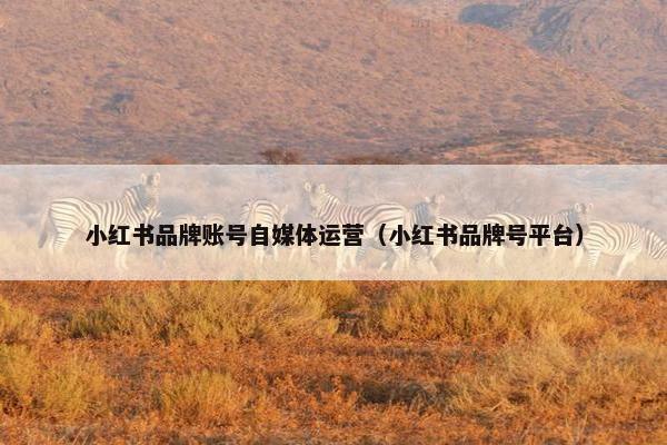 小红书品牌账号自媒体运营（小红书品牌号平台）