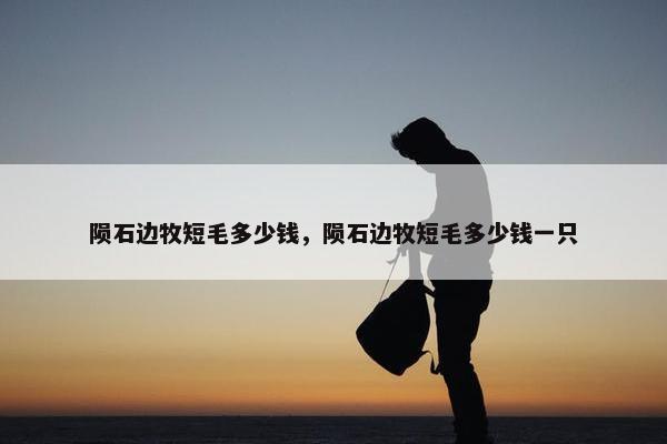 陨石边牧短毛多少钱，陨石边牧短毛多少钱一只