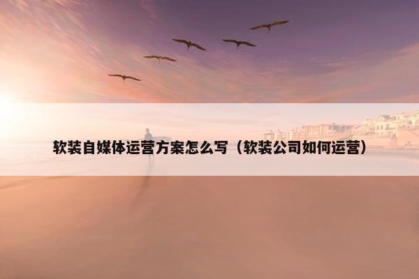 软装自媒体运营方案怎么写（软装公司如何运营）