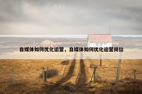 自媒体如何优化运营，自媒体如何优化运营岗位