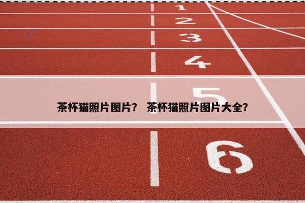 茶杯猫照片图片？ 茶杯猫照片图片大全？