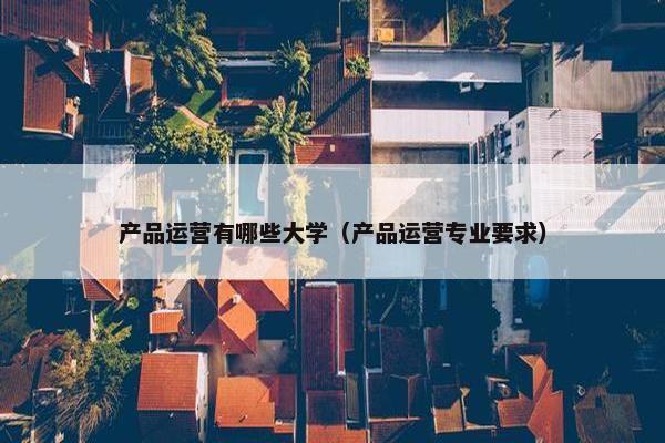 产品运营有哪些大学（产品运营专业要求）