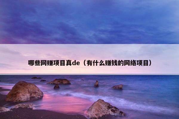 哪些网赚项目真de（有什么赚钱的网络项目）