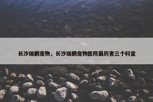 长沙瑞鹏宠物，长沙瑞鹏宠物医院最厉害三个科室