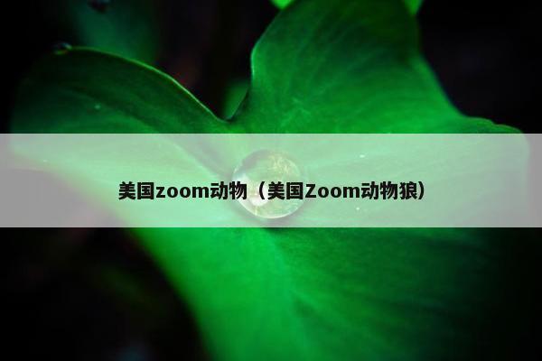 美国zoom动物（美国Zoom动物狼）