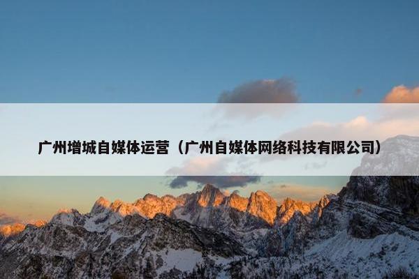 广州增城自媒体运营（广州自媒体网络科技有限公司）