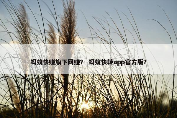 蚂蚁快赚旗下网赚？ 蚂蚁快转app官方版？