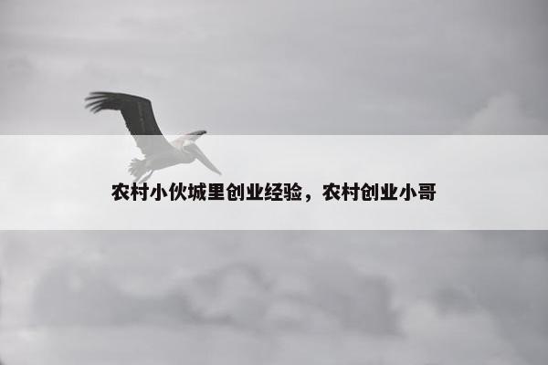 农村小伙城里创业经验，农村创业小哥