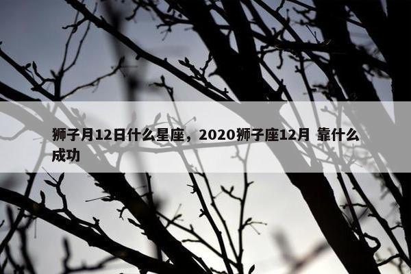 狮子月12日什么星座，2020狮子座12月 靠什么成功