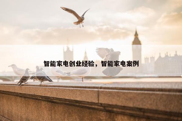 智能家电创业经验，智能家电案例