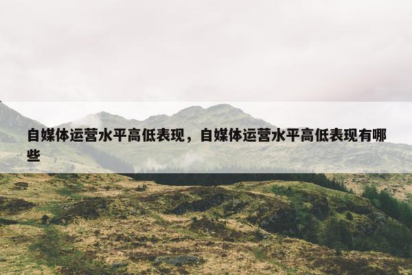 自媒体运营水平高低表现,自媒体运营水平高低表现有哪些