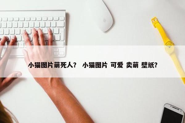 小猫图片萌死人？ 小猫图片 可爱 卖萌 壁纸？