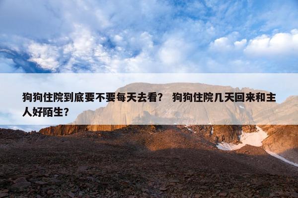 狗狗住院到底要不要每天去看？ 狗狗住院几天回来和主人好陌生？