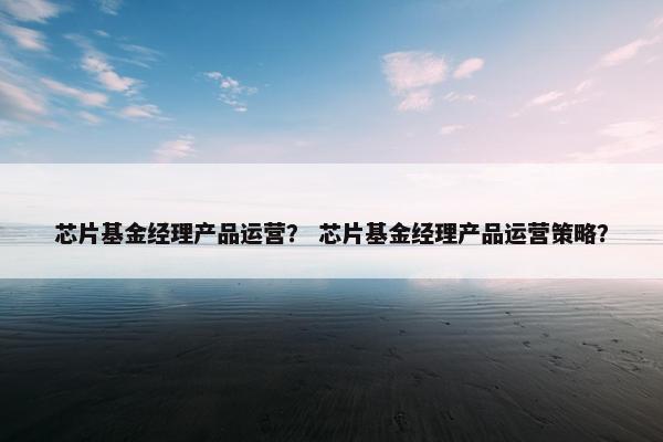 芯片基金经理产品运营？ 芯片基金经理产品运营策略？