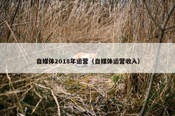 自媒体2018年运营（自媒体运营收入）