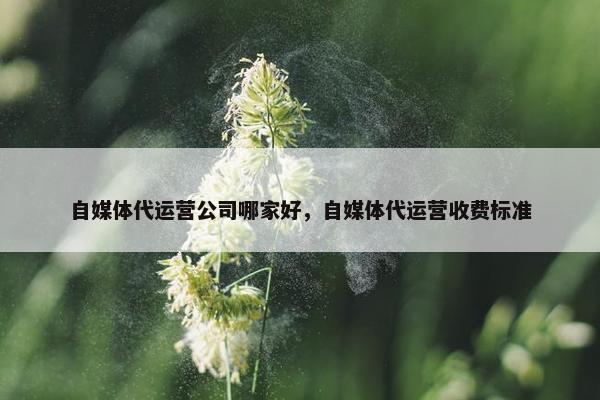 自媒体代运营公司哪家好，自媒体代运营收费标准