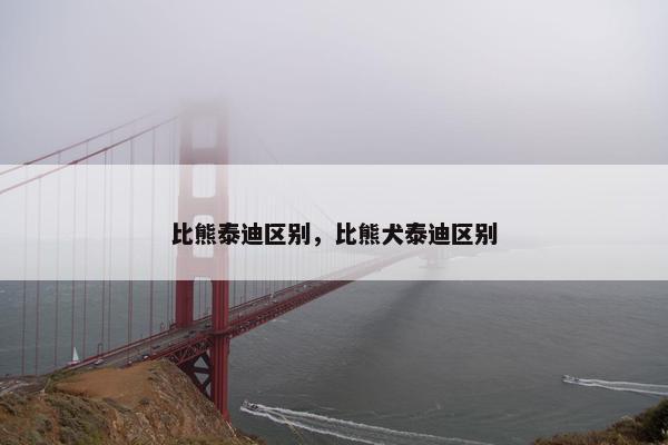 比熊泰迪区别，比熊犬泰迪区别