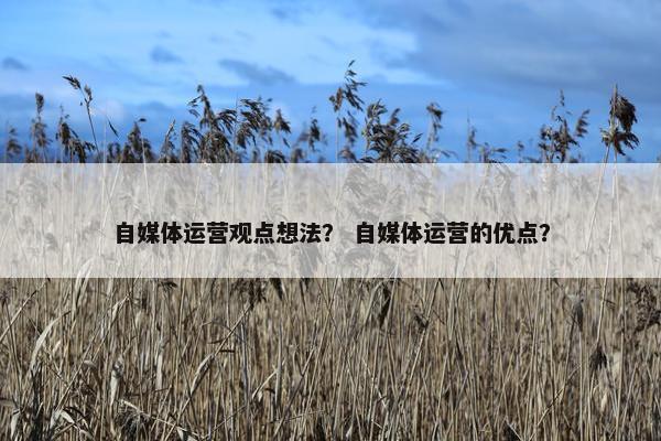 自媒体运营观点想法？ 自媒体运营的优点？